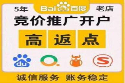 百度搜索推广实战技巧：成功案例启示录
